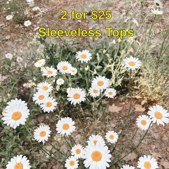 🛍️SALE 2 for $20 TOP Sleeveless Top NWOT - Picture 3 of 6